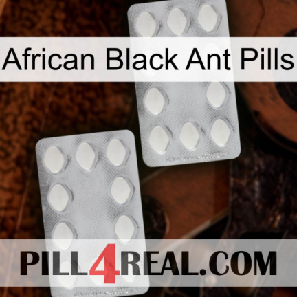 African Black Ant Pills 17